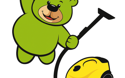 Do czego służy parownica Kärcher SC 5? Przewodnik dla wypożyczających